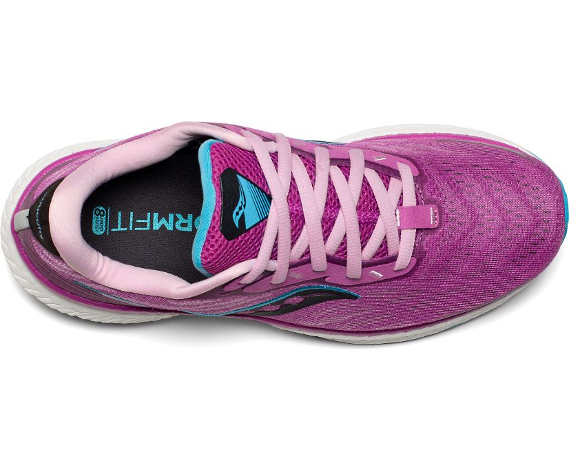 Saucony Triumph 19 Women's Running Shoes Purple | AU 205VRWD